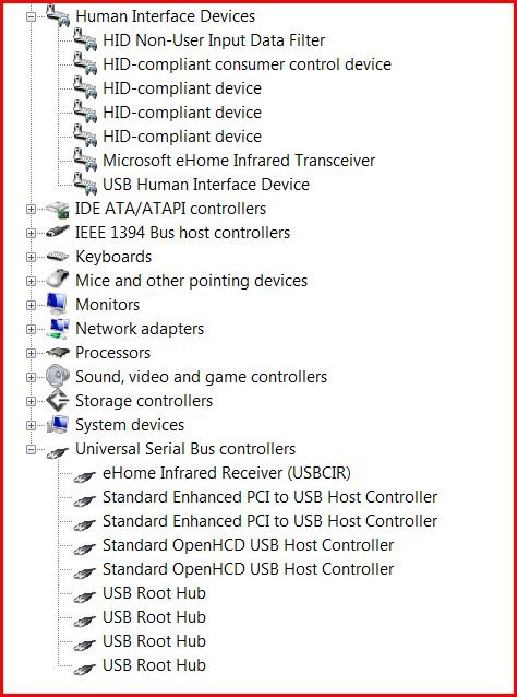 device manager screen capture.JPG