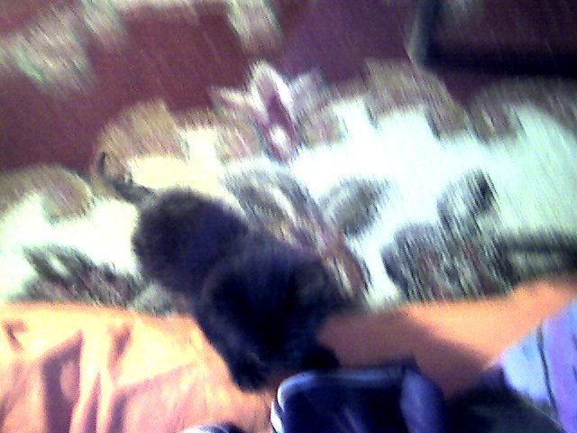 Snapshot_20090421_5.jpg