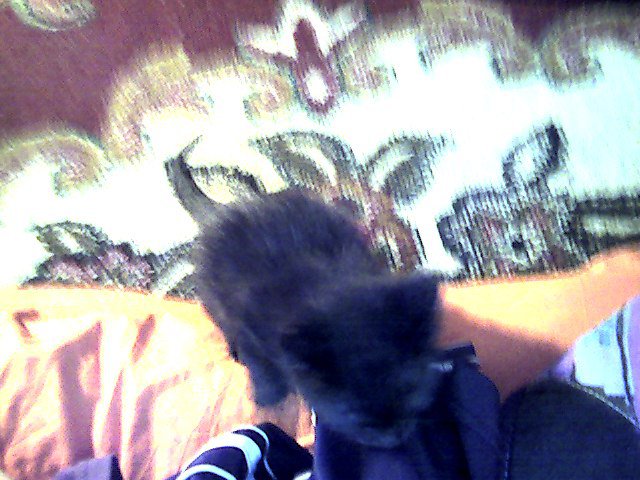 Snapshot_20090421_6.jpg