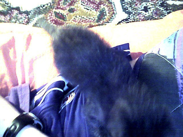 Snapshot_20090421_8.jpg