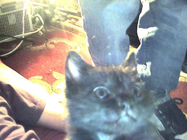 Snapshot_20090421_11.jpg