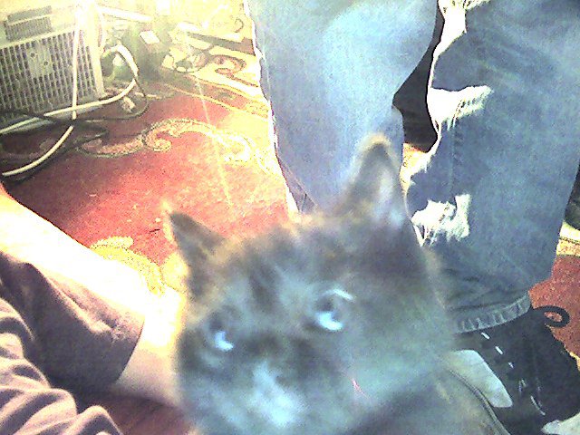 Snapshot_20090421_12.jpg