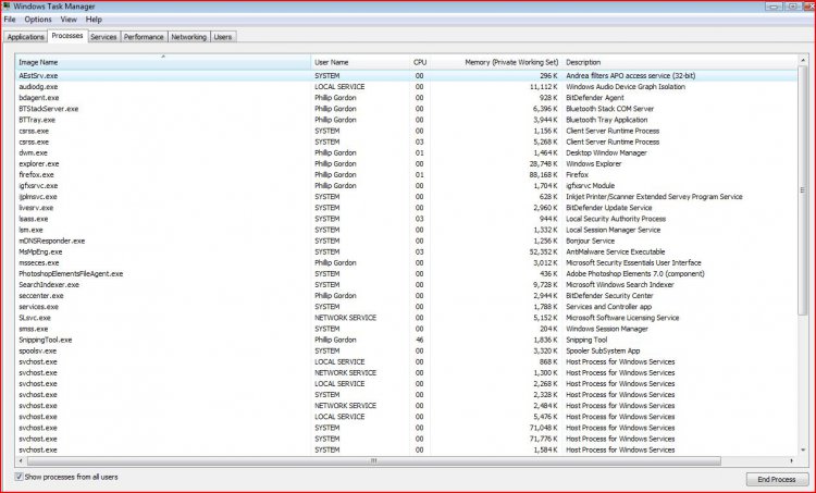 Task Manager- Processes.JPG