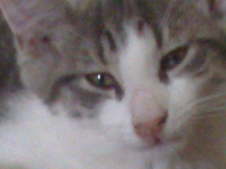 06-17-09_1437.jpg