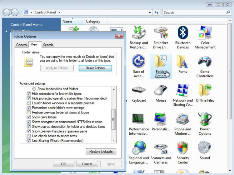 Vista Folder Options.JPG