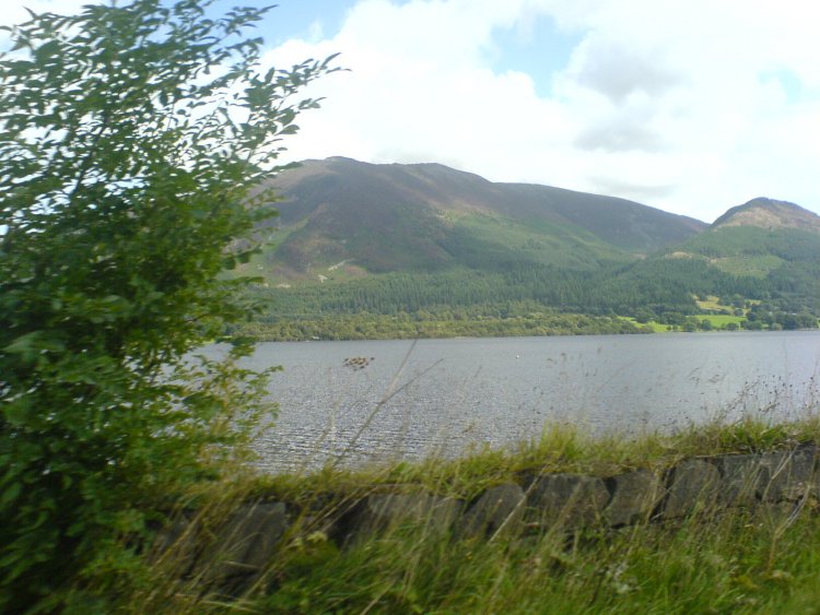 DSC01750.JPG