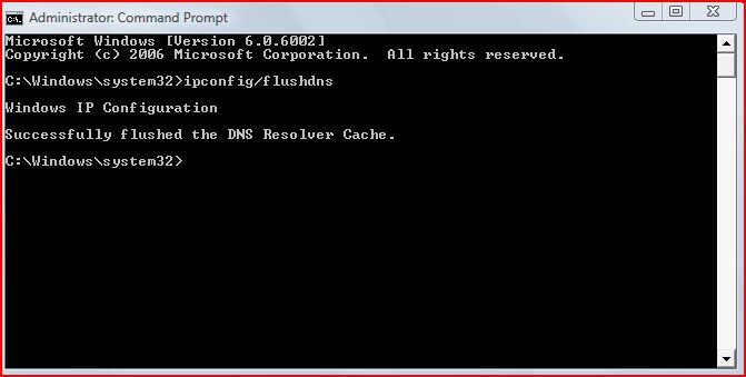 flysh dns cache.JPG