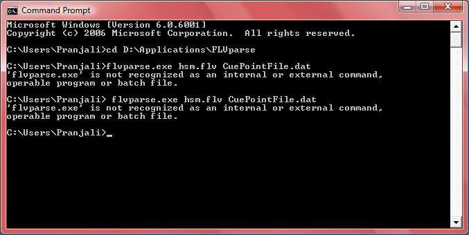 command prompt ss.jpg