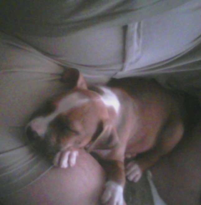 0722110810_0001.jpg