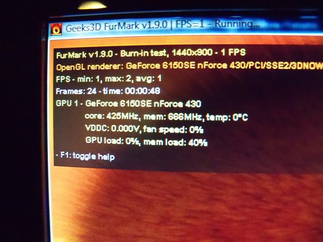 Screen Shot 2.jpg