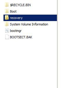 recoverydrive.JPG