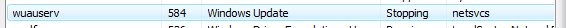 vista-update-srvc-cpu-hog.png