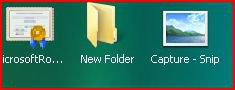 Capture - Desktop Icons.JPG