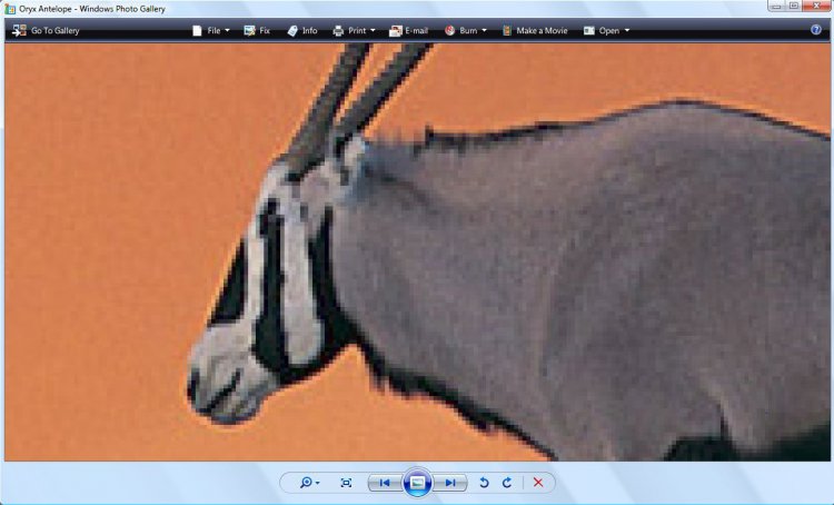 Capture1.JPG