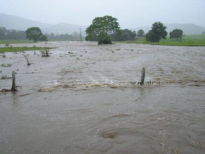 rain_rain_06012008_3.jpg