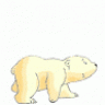poppa bear