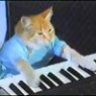 Keyboard Cat