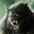Wolfeymole