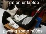 catonlaptop.jpg