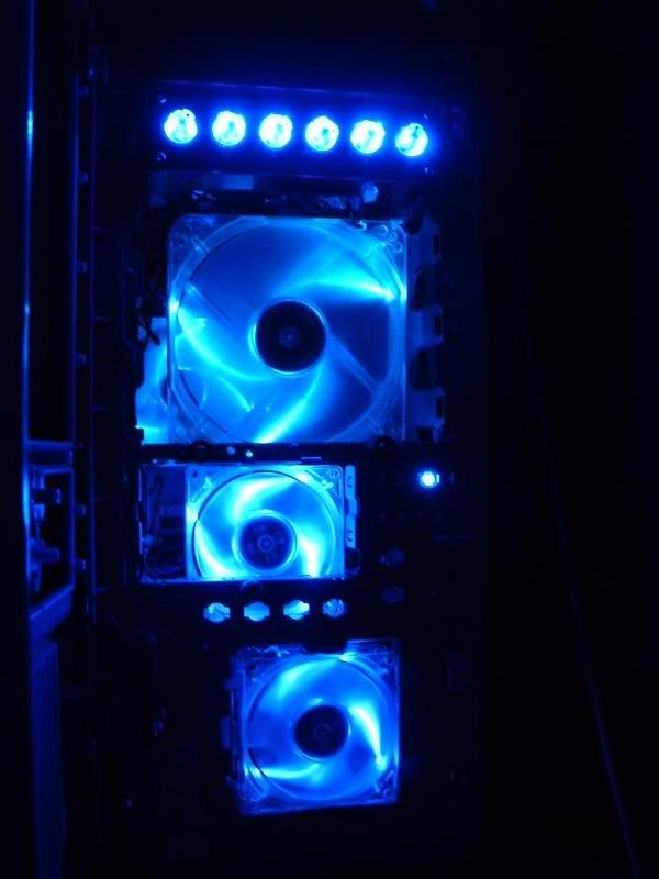 computerandviolet004-1.jpg