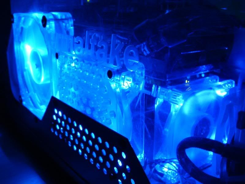 computerandviolet010.jpg