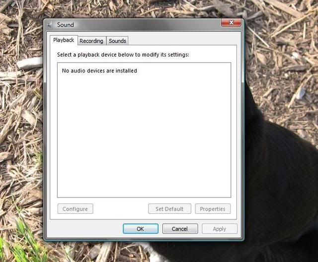 screen.jpg