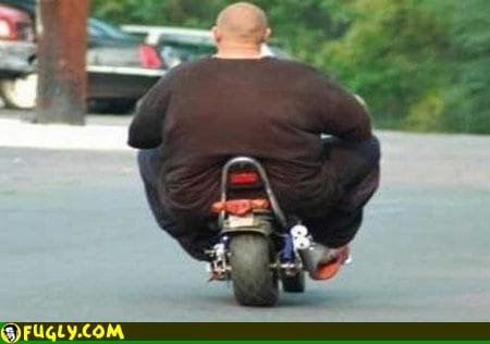 super-fat-man-on-a-scooter.jpg