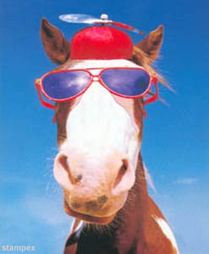 653-funny-horse-hat.jpg